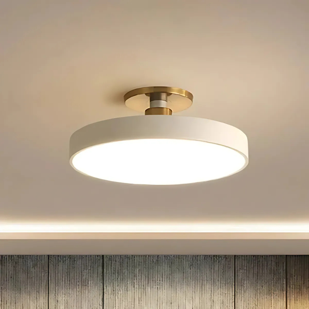 Scandinavian LED Ceiling Light – Dimmable Illumination & Modern Minimalist Design