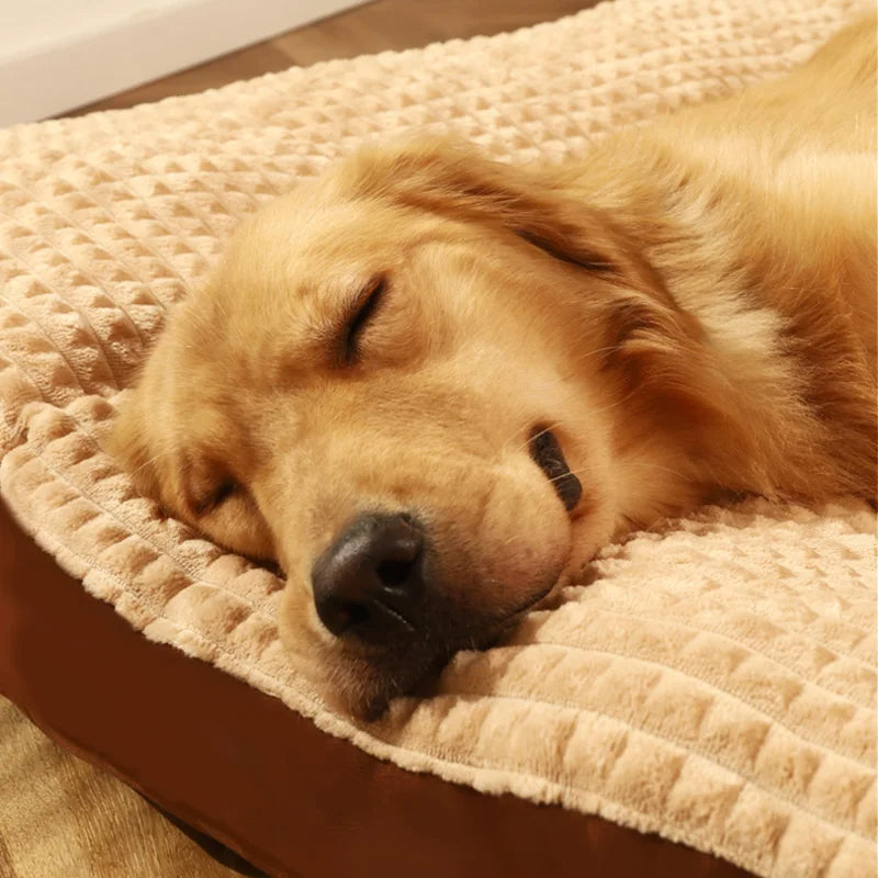 Lit orthopédique pour chien – Coussin en mousse de soutien avec housse douce lavable pour une relaxation profonde