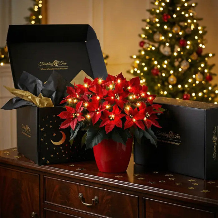 Verlichte poinsettia – kunstmatige rode kerstbloem met een zachte, warme gloed
