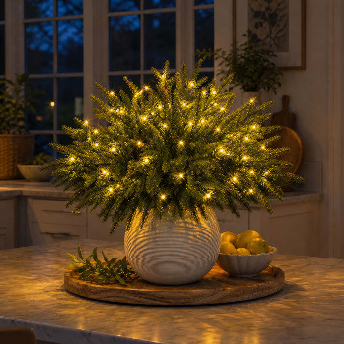 Verlichte Norfolk-dennentakken – groenblijvende vaastakken met warm twinkelende lampjes