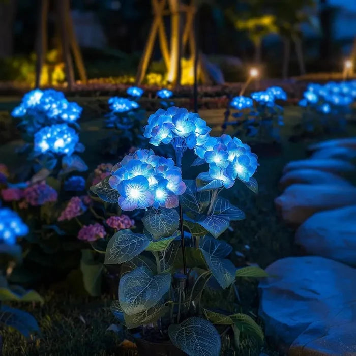 Olielampjes op zonne-energie - bloemtrossen die zacht oplichten in het donker