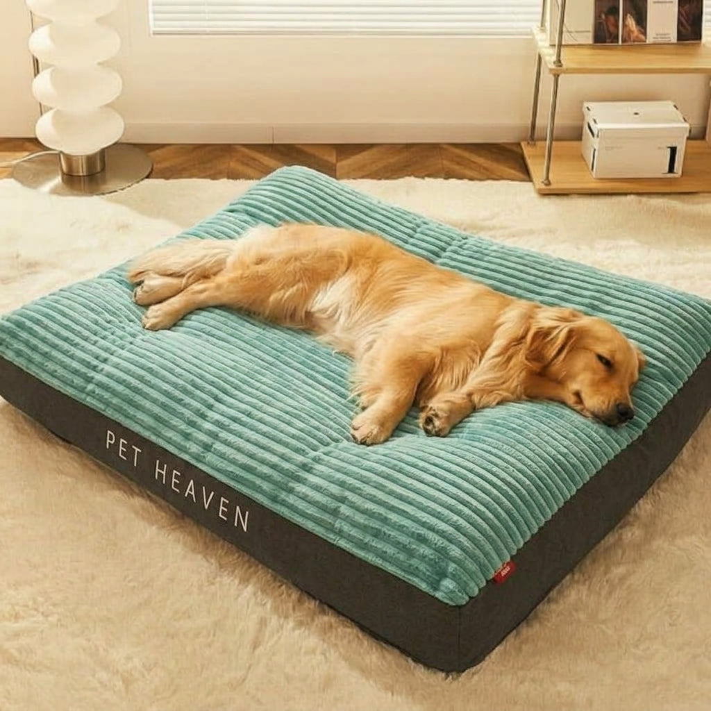 Panier pour chien – Grand modèle résistant aux griffures, bords surélevés et housse amovible