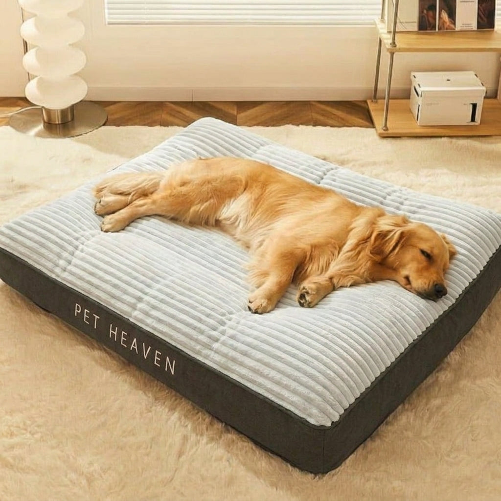 Panier pour chien – Grand modèle résistant aux griffures, bords surélevés et housse amovible