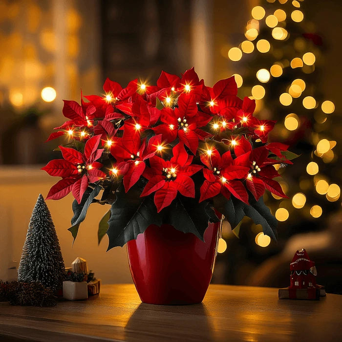 Verlichte poinsettia – kunstmatige rode kerstbloem met een zachte, warme gloed