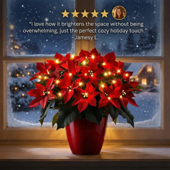 Verlichte poinsettia – kunstmatige rode kerstbloem met een zachte, warme gloed