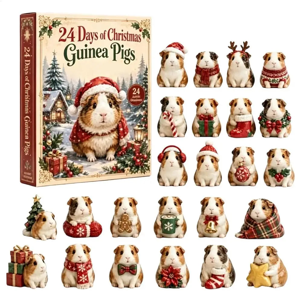 Guinea pig advent calendar
