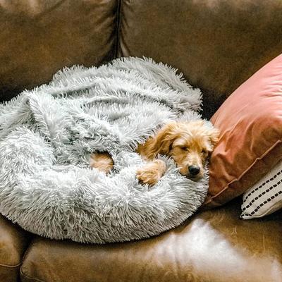 Dog Cushion Bed – Soft Plush Design with Non-Slip Bottom & Washable Cover