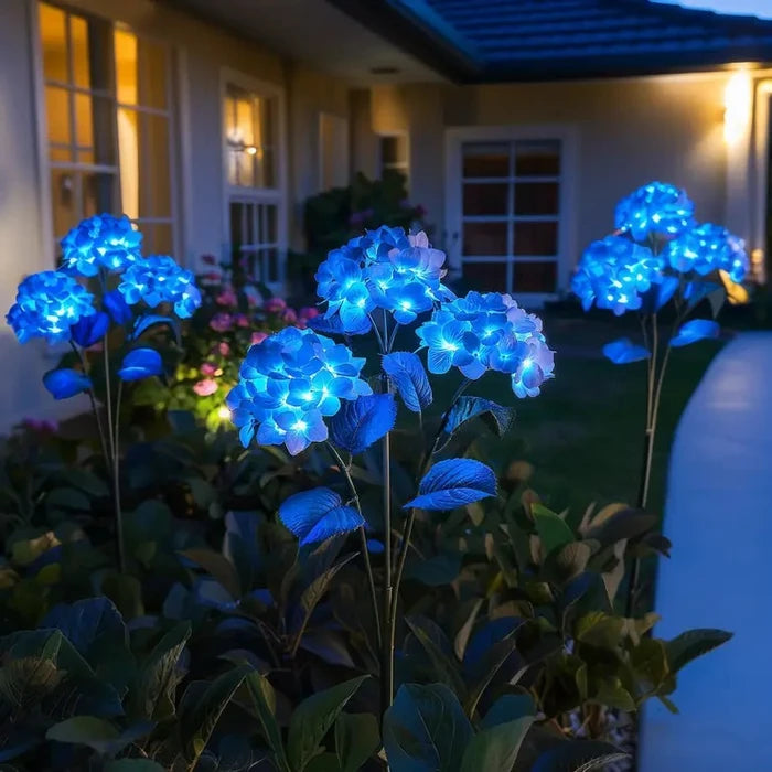 Olielampjes op zonne-energie - bloemtrossen die zacht oplichten in het donker