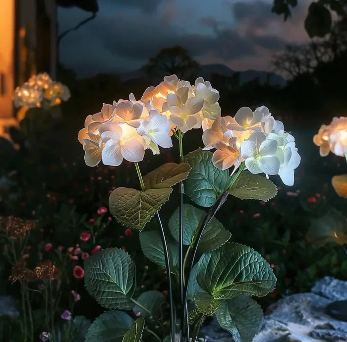 Olielampjes op zonne-energie - bloemtrossen die zacht oplichten in het donker