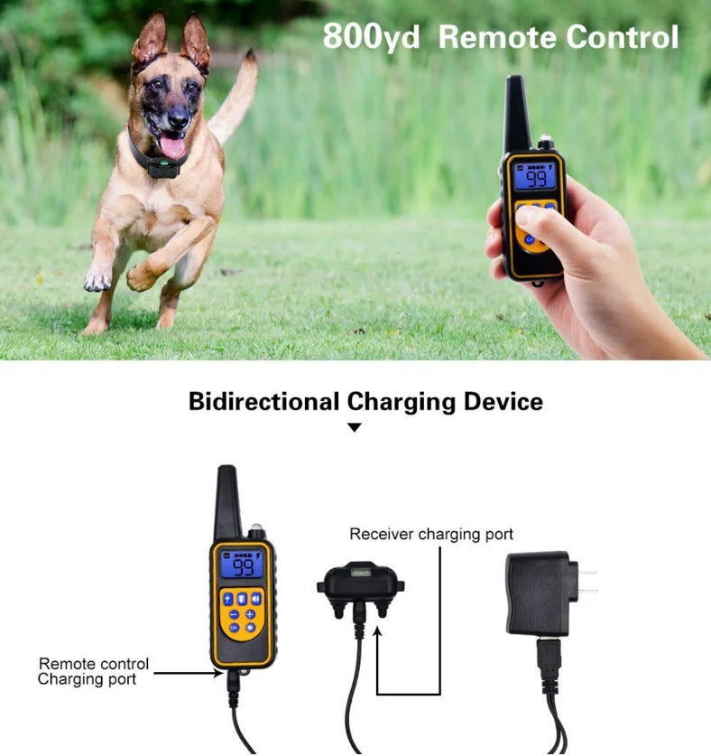 Dog training collar