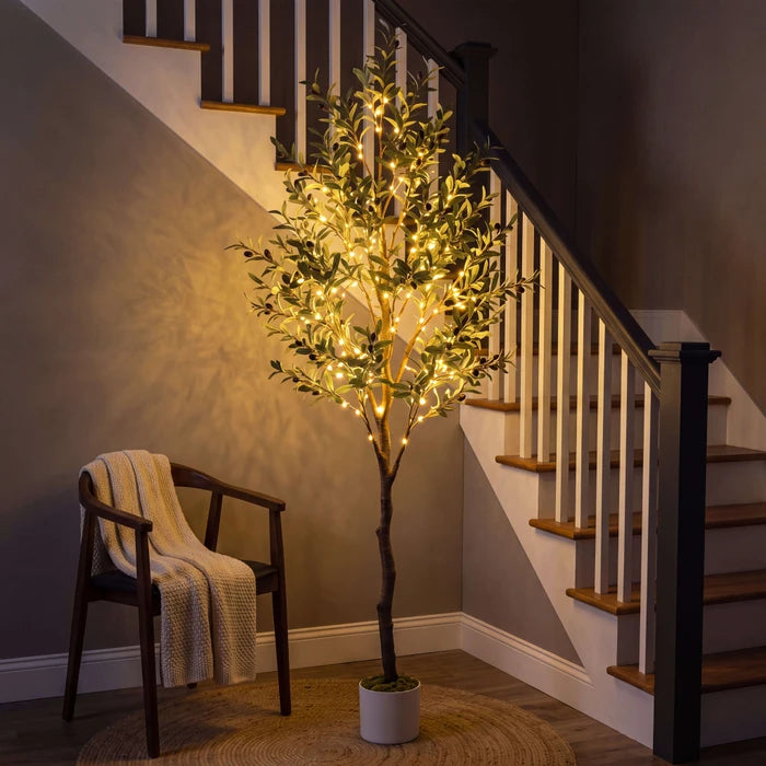 Verlichte olijfboom - sprookjeslichtjes tussen groene olijfbladeren voor knusse hoekjes