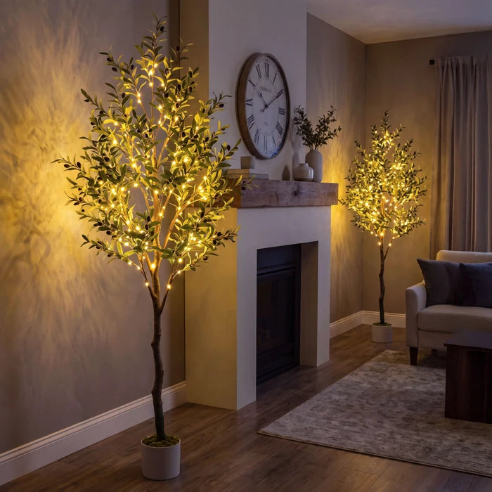 Verlichte olijfboom - sprookjeslichtjes tussen groene olijfbladeren voor knusse hoekjes
