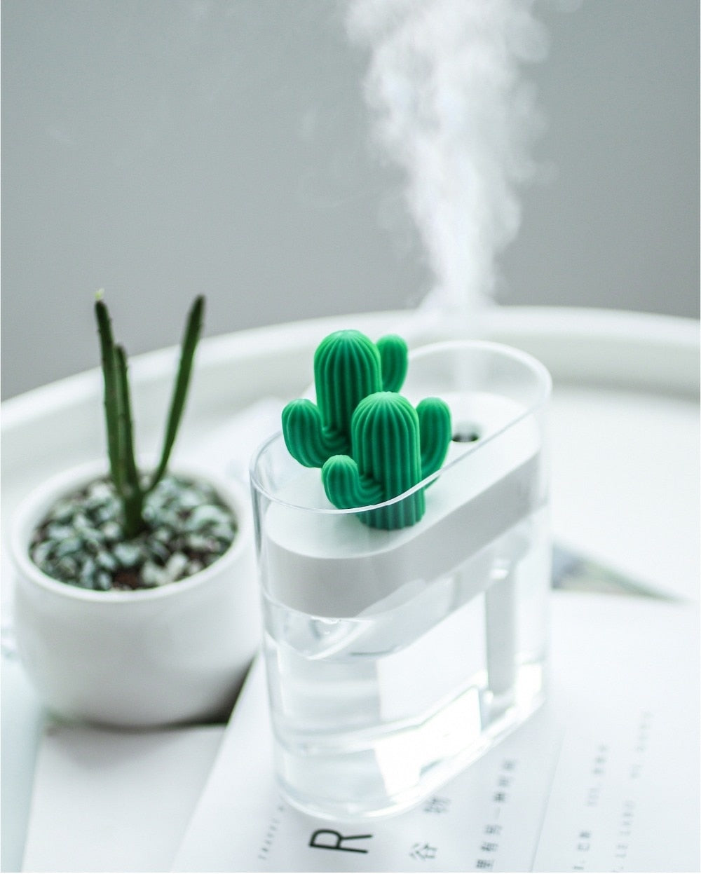 Cactus Aroma Diffuser – Ultrasonic Mist, LED Lighting & 160 ml Tank for Home Use