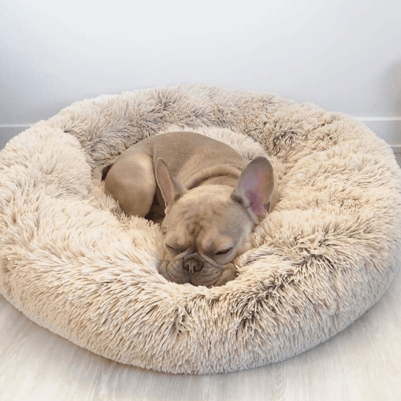 Dog Cushion Bed – Soft Plush Design with Non-Slip Bottom & Washable Cover