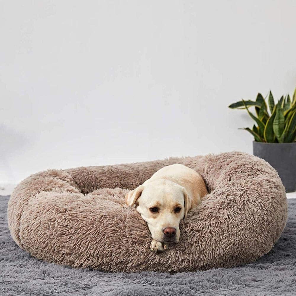 Coussin-lit pour chien – Design doux en peluche avec fond antidérapant et housse lavable